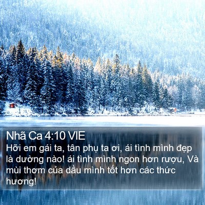 Nhã Ca 4:10 VIE Bible Verse Image