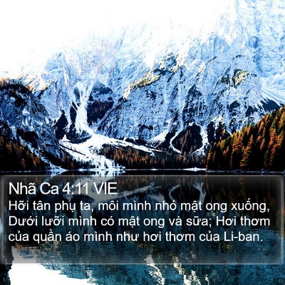Nhã Ca 4:11 VIE Bible Verse Image
