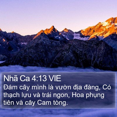 Nhã Ca 4:13 VIE Bible Verse Image