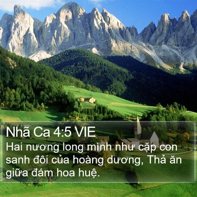 Nhã Ca 4:5 VIE Bible Verse Image