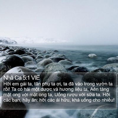 Nhã Ca 5:1 VIE Bible Verse Image