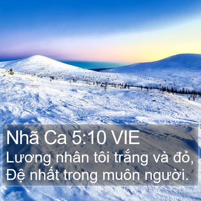 Nhã Ca 5:10 VIE Bible Verse Image