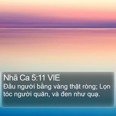 Nhã Ca 5:11 VIE Bible Verse Image