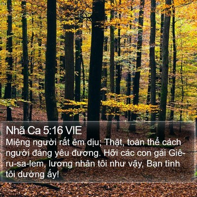 Nhã Ca 5:16 VIE Bible Verse Image