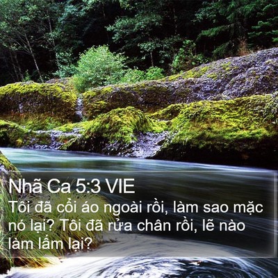 Nhã Ca 5:3 VIE Bible Verse Image