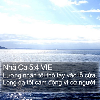 Nhã Ca 5:4 VIE Bible Verse Image
