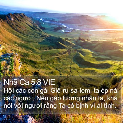 Nhã Ca 5:8 VIE Bible Verse Image