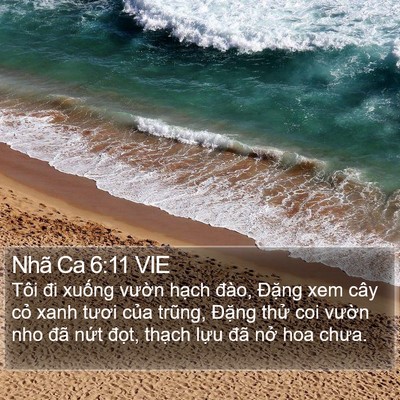 Nhã Ca 6:11 VIE Bible Verse Image