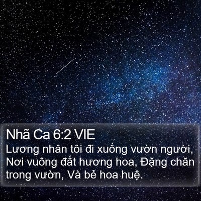 Nhã Ca 6:2 VIE Bible Verse Image
