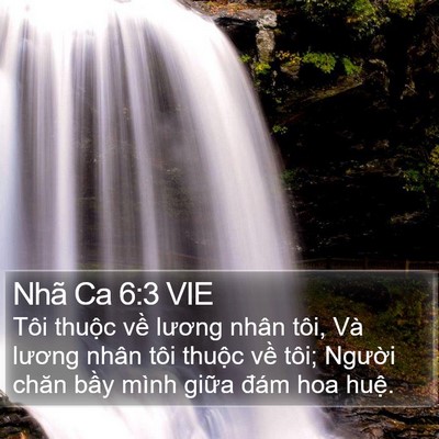 Nhã Ca 6:3 VIE Bible Verse Image