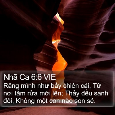 Nhã Ca 6:6 VIE Bible Verse Image