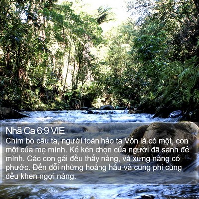 Nhã Ca 6:9 VIE Bible Verse Image