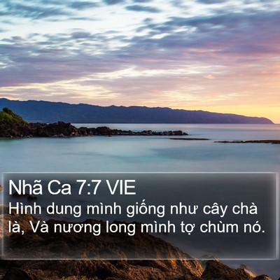 Nhã Ca 7:7 VIE Bible Verse Image
