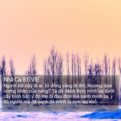 Nhã Ca 8:5 VIE Bible Verse Image