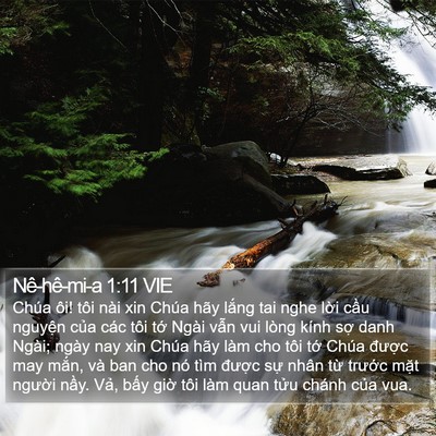Nê-hê-mi-a 1:11 VIE Bible Verse Image