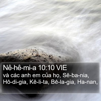 Nê-hê-mi-a 10:10 VIE Bible Verse Image