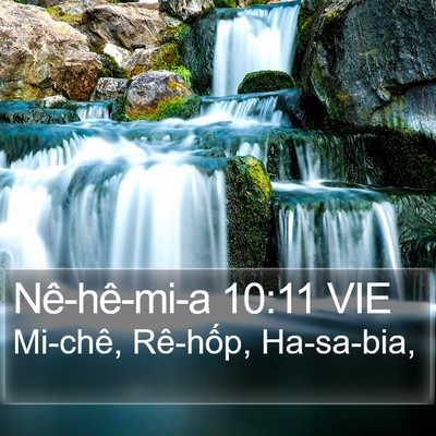 Nê-hê-mi-a 10:11 VIE Bible Verse Image