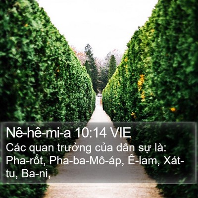 Nê-hê-mi-a 10:14 VIE Bible Verse Image