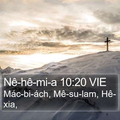 Nê-hê-mi-a 10:20 VIE Bible Verse Image