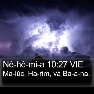 Nê-hê-mi-a 10:27 VIE Bible Verse Image