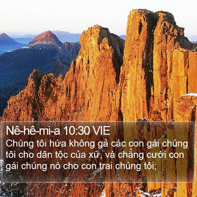 Nê-hê-mi-a 10:30 VIE Bible Verse Image