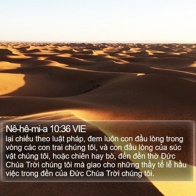 Nê-hê-mi-a 10:36 VIE Bible Verse Image