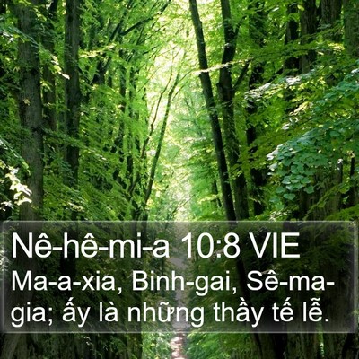 Nê-hê-mi-a 10:8 VIE Bible Verse Image