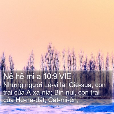 Nê-hê-mi-a 10:9 VIE Bible Verse Image