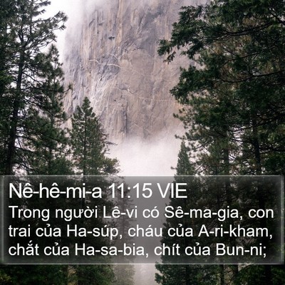 Nê-hê-mi-a 11:15 VIE Bible Verse Image