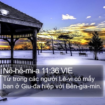 Nê-hê-mi-a 11:36 VIE Bible Verse Image