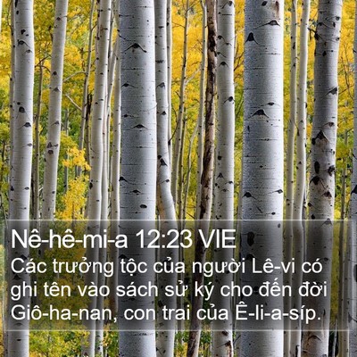 Nê-hê-mi-a 12:23 VIE Bible Verse Image