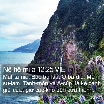 Nê-hê-mi-a 12:25 VIE Bible Verse Image