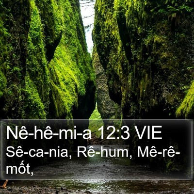 Nê-hê-mi-a 12:3 VIE Bible Verse Image