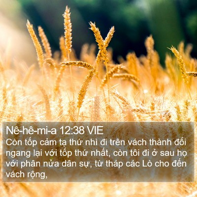 Nê-hê-mi-a 12:38 VIE Bible Verse Image