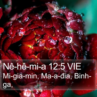 Nê-hê-mi-a 12:5 VIE Bible Verse Image