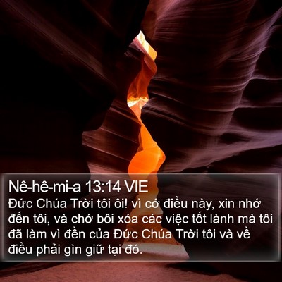 Nê-hê-mi-a 13:14 VIE Bible Verse Image