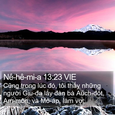 Nê-hê-mi-a 13:23 VIE Bible Verse Image