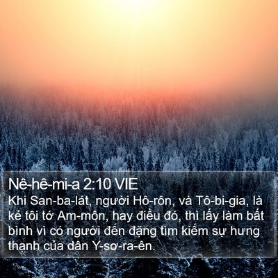 Nê-hê-mi-a 2:10 VIE Bible Verse Image