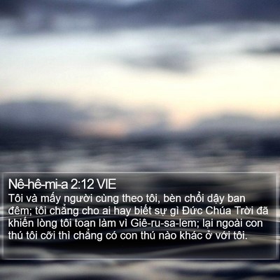 Nê-hê-mi-a 2:12 VIE Bible Verse Image