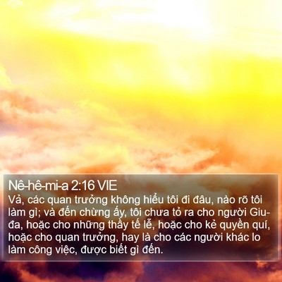 Nê-hê-mi-a 2:16 VIE Bible Verse Image