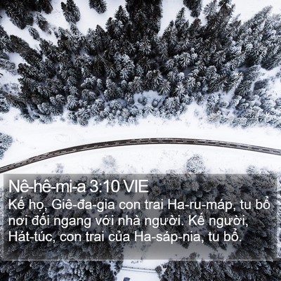 Nê-hê-mi-a 3:10 VIE Bible Verse Image