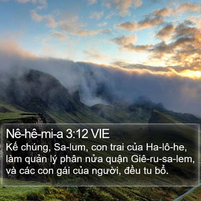 Nê-hê-mi-a 3:12 VIE Bible Verse Image