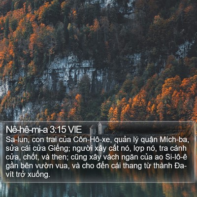 Nê-hê-mi-a 3:15 VIE Bible Verse Image