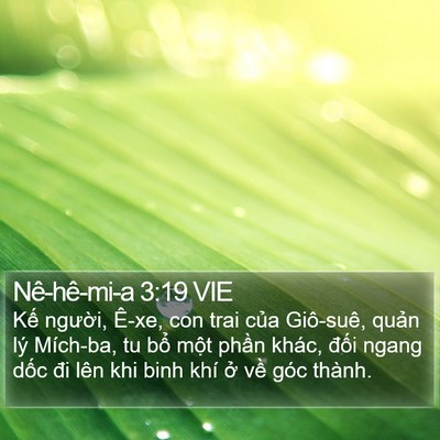 Nê-hê-mi-a 3:19 VIE Bible Verse Image