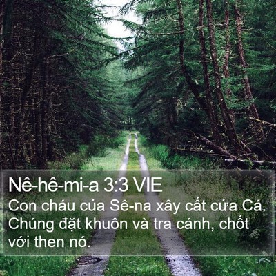 Nê-hê-mi-a 3:3 VIE Bible Verse Image