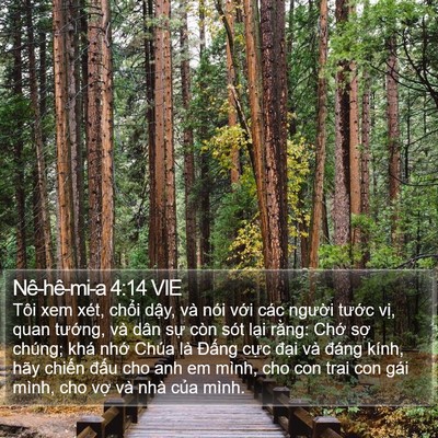 Nê-hê-mi-a 4:14 VIE Bible Verse Image