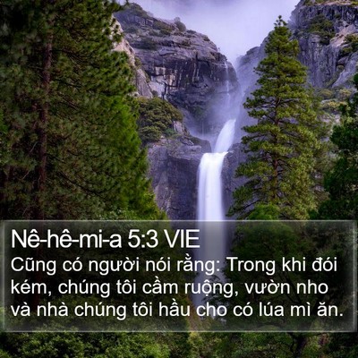 Nê-hê-mi-a 5:3 VIE Bible Verse Image