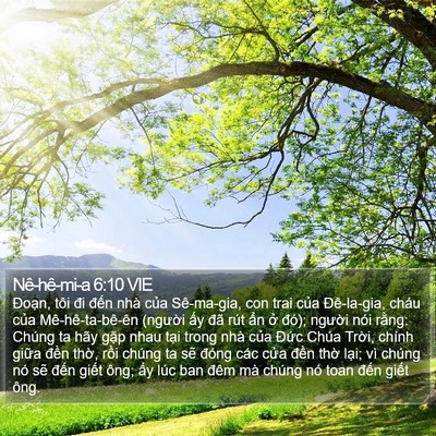 Nê-hê-mi-a 6:10 VIE Bible Verse Image