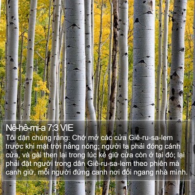 Nê-hê-mi-a 7:3 VIE Bible Verse Image