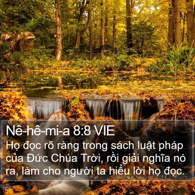 Nê-hê-mi-a 8:8 VIE Bible Verse Image